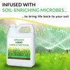 Organic Liquid Lawn & Turf Food - Quickly Rejuvenates Lawn