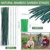 Suclain 50 Pcs 4 Feet Bamboo Stakes for Plant Support