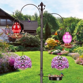 BOLITE Hummingbird Feeder, Glass Hummingbird Feeders for Outdoors Hanging, Five Feeding Ports, 20 Ounces, 2 Pack, Red and Purple