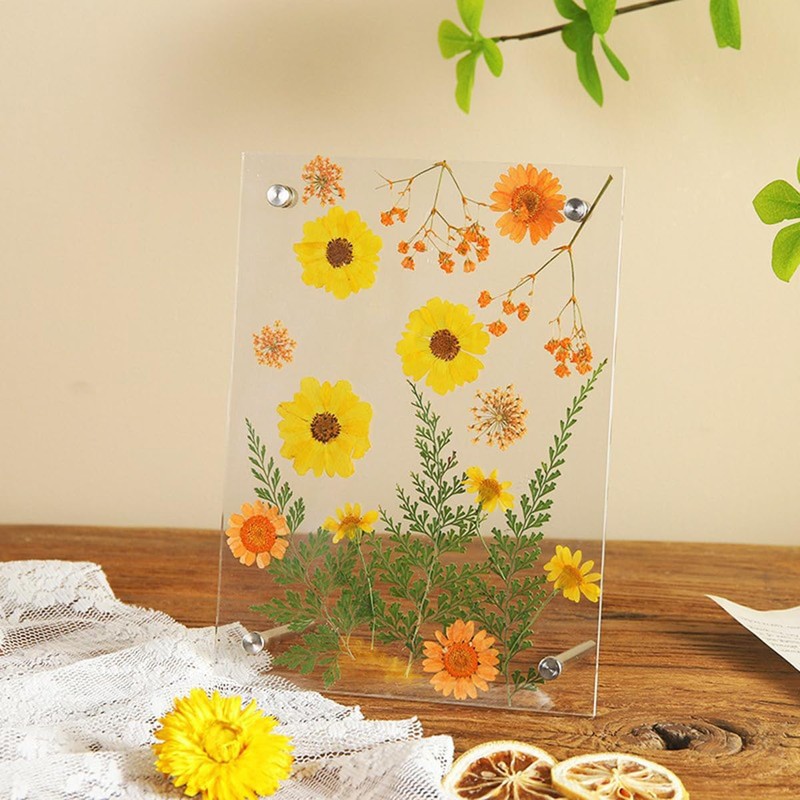 HZIYOU Acrylic Picture Frame, Pressed Flower Frame Handmade, Frameless Floating