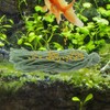 Kisangel Spawning Mops for Fish Tank - 10Pcs Fish Spawning