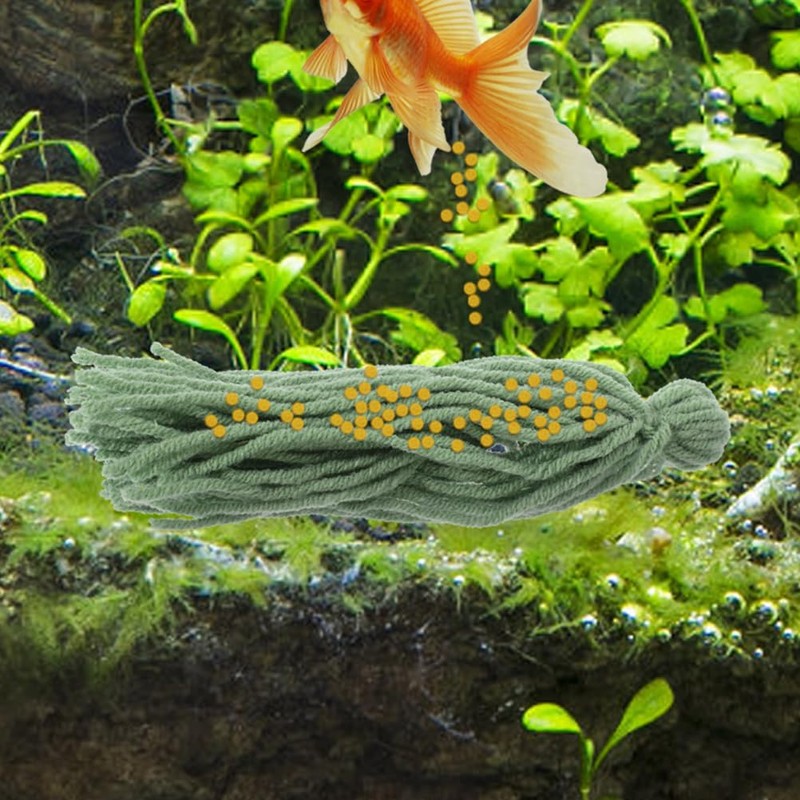 Kisangel Spawning Mops for Fish Tank - 10Pcs Fish Spawning