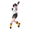 Generic Dragon Ball Videl Gals Dragon Ball Z
