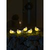 Konstsmide LED Acrylic Birds, Set of 5, Clear, 24 V,