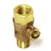 NNI 1/4" X 1/4" NPT - Lead Free Brass Test