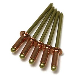 Copper Pop Rivets 1/8 Diameter Brass Mandrel Blind Rivets Dome Head 4-2 (1/8"Diameter x 1/8" Grip) Qty 100