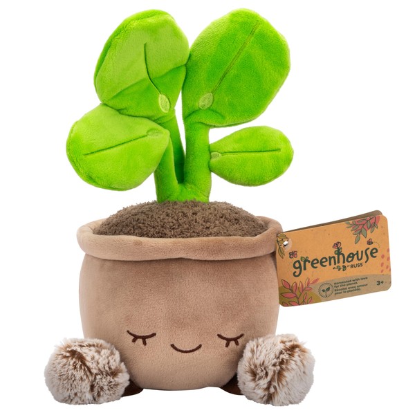 Greenhouse by Russ 12-Inch Pilea Plant Plush - Ultrasoft Official