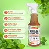 Mighty Mint Wood Cleaner and Conditioner, Non-Toxic, Spray Cleans and