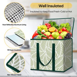 BALEINE 2Pk Insulated Reusable Grocery Bags, Collapsible Cooler Bag for Groceries, Heavy Duty Large Insulated Bag (16''x9''x13'', Antique Foliage)
