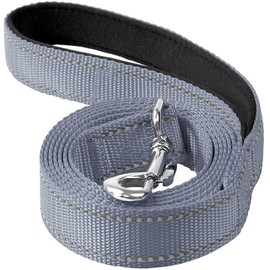 Erbine 6FT Reflective Nylon Dog Leash with Soft Padded Handle for Walking, Running and Training, Supports Small Medium and Large Dogs (Grey, 1 Inch Wide)