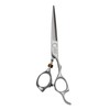 Titan Scissors | Hair Cutting Japanese Style Scissors | Proffesional