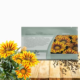 Outsidepride Yellow Flame Gazania Seeds for Planting – 25 Pcs Perennial, Low-Maintenance, Drought-Tolerant Ground Cover Seeds for Vibrant Summer & Fall Flowers, Great for Outdoor Gardens