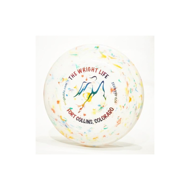 Wham-O Fastback Recycled Frisbee - Wright Life Design