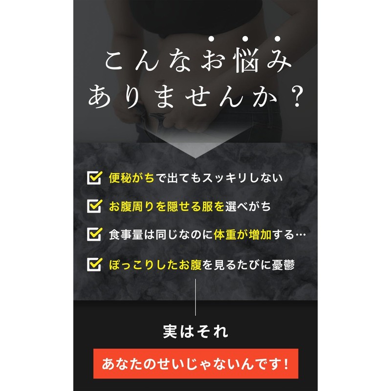 【機能性表示食品】C CLEANSE シークレンズ 10粒包 チャコール ダイエットサプリ ブラックジンジャー カプセル