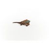 Schleich Wildlife Iguana 14854