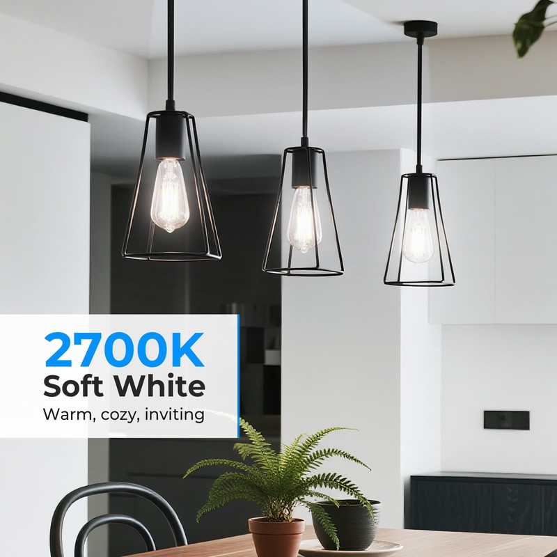 GvvooHome Dimmable Edison Bulbs, 4000K Daylight White, 6W Equivalent to