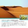 STAY FREE YOCCAN Argan Oil Rinse Free Treatment 3.4 fl