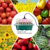12 Hole Plant Lamp Set with LED Grow Lamp Seedling