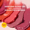 Tinted Lip Balm - Rose
