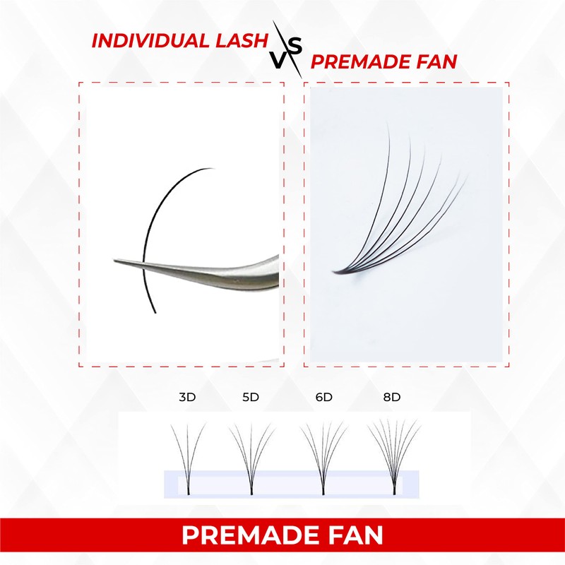 THE LASH SUPPLY THE LASH SUPPLY 1000fans 3D 4D 5D