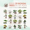 Bonsai Fertilizer - Gentle Slow Release Plant Food Pellets -