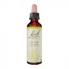 바흐 플라워 넘버 23 올리브 20ml Bach Flower Number 23 Olive 20ml