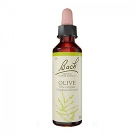 바흐 플라워 넘버 23 올리브 20ml Bach Flower Number 23 Olive 20ml