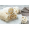 Fresh 100 Luffa Gourd - Loofah Sponge Seeds -Hột Mướp
