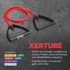 SPRI Xertube - Bandas y Cuerdas de Resistencia para Ejercicio