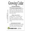 Cedar, Dogwood, Pine, Redwood, Spruce, Tree Seed by MySeeds.Co, You