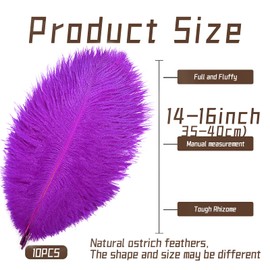 iHUFeather 10pcs Purple Ostrich Feathers Natural Bulk 14-16Inch 40-45cm for Wedding Party Centerpieces Easter Gatsby and Home Decorate Ostrich Feathers