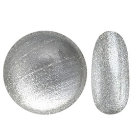 Magnet Nail Fine 20 Colors Total of 20 Colors Gel Nail Magnetic Nail Color Gel Cat Eye Magnet Silver Glitter Color Nail Gel Art Gel Gel Nail Supplies Nail Gel Nail Art Popular Self Gel Nail