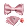 DiBanGu Pink Bow Ties for Men Satin Self-tied Bowtie Set
