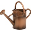 SunnyTong Metal Watering Can for Outdoor and Indoor Plants, Watering