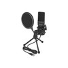 Delock USB Microphone PC Microphone Condenser Microphone Set - for