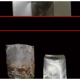 SUCOHANS 10 Count Mushroom Bags/All in One Mushroom Grow Bag/Farm-Mushroom Spawn/Sealable Spawn/Myco Bags,Large Size 8" X 5" X 19",0.2 Micron Filter, 3 Mil Polypropylene