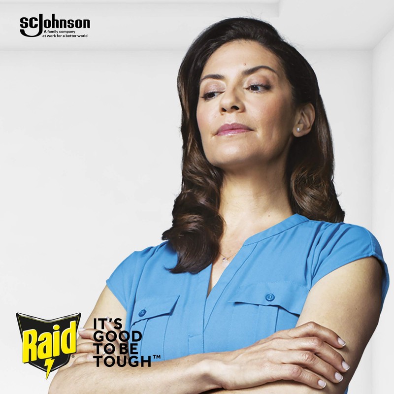 Raid Max Bed Bug Extended Protection, Kills Bed Bugs for