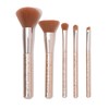 Franfranc Perrule Makeup Brush Set (Set of 5)