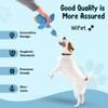 WiPet Blue Goose Squeaky Dog Toy – Durable Plush Dog