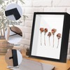 8"x10" Shadow Box Picture Frame Wall Hanging Display Case -