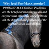 SU-PER Pro-Maxx Probiotics for Horses - Equine Digestive Aid and