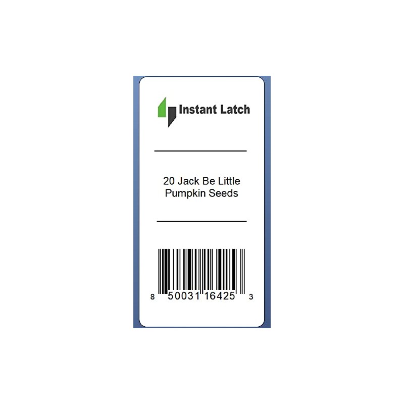 20 Jack Be Little Pumpkin Seeds for Planting Non GMO