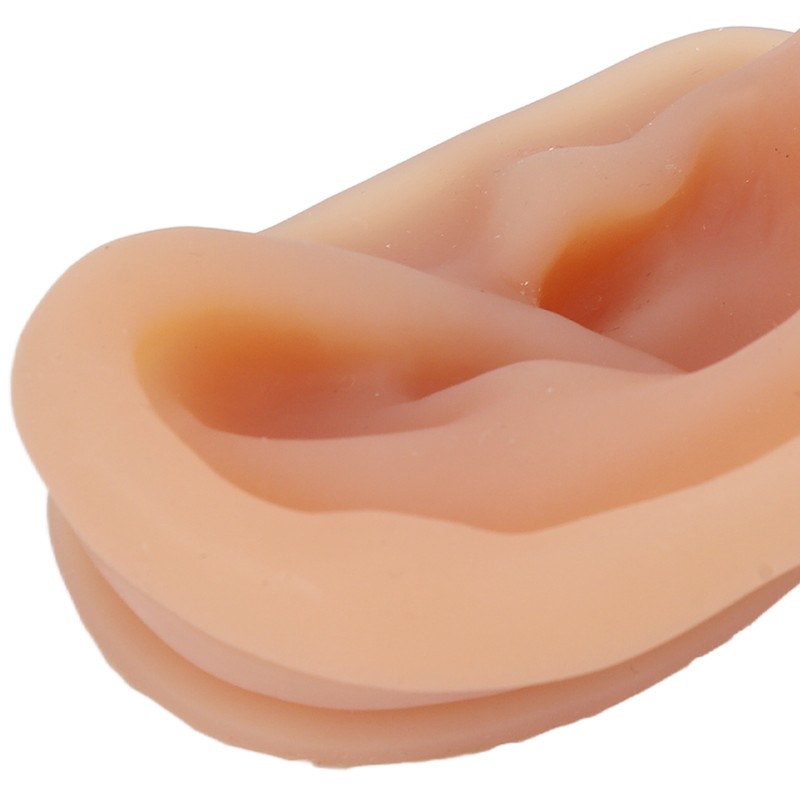 Silicone Ear Model Simulated Ear Model Acupuncture Practice Tool with