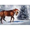 AMKA Weihnachtsbandagen, 4er Set rot-weiß
