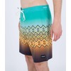 Hurley Men's Board Shorts, Fiji, 32