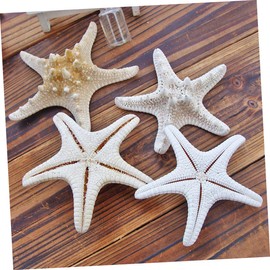 Yardwe 2pcs Natural Sea Star Ornaments for Ocean Themed Decor Party Settings and Craft Projects Photo Props for Home Shop and Beach Parties