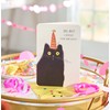 American Greetings Funny Belated Birthday Card (Catnapped)