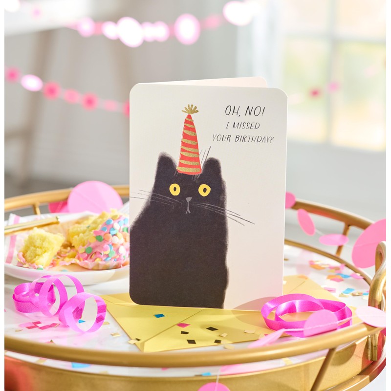 American Greetings Funny Belated Birthday Card (Catnapped)