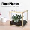 Gold Edge Geometric Glass Plant Planter Succulent Plants Container Home
