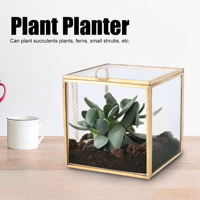 Gold Edge Geometric Glass Plant Planter Succulent Plants Container Home